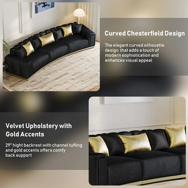 Shino Velvet Curved Sofa with Gold Accent Base - Wooden bazar