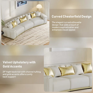 Shino Velvet Curved Sofa with Gold Accent Base - Wooden bazar
