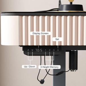 Neoro Height Adjustable Electric Standing Desk with Drawer & USB Charging Port