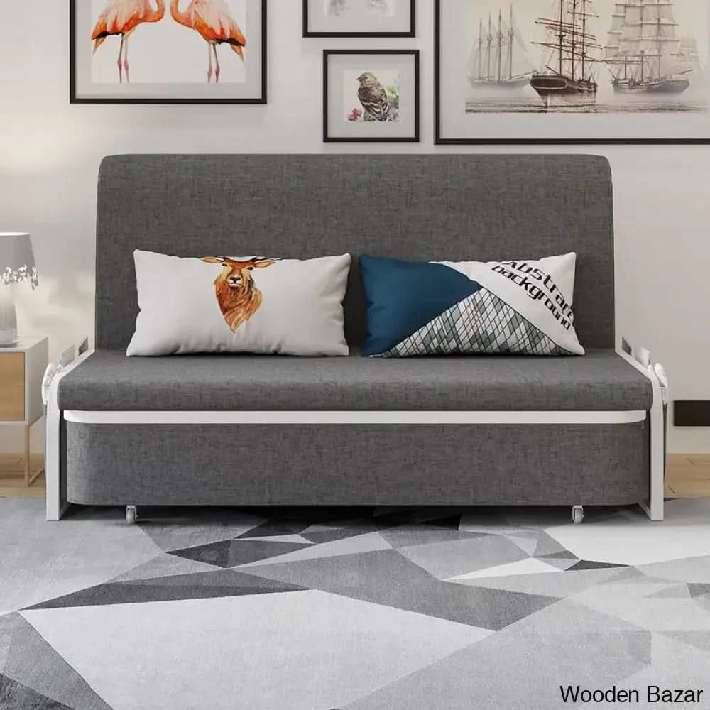 Moder sofa cum bed