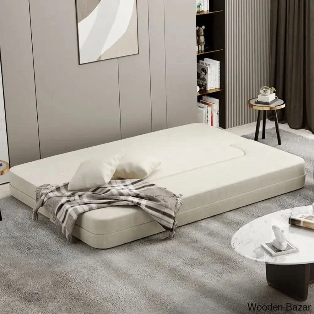 Sofa Cum bed for living room
