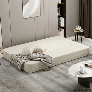 Sofa Cum bed for living room-1