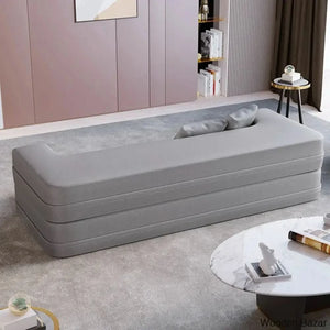 Sofa Cum bed for living room-17