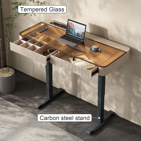 Neoro Height Adjustable Electric Standing Desk with Drawer & USB Charging Port