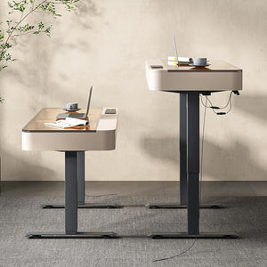 Neoro Height Adjustable Electric Standing Desk with Drawer & USB Charging Port