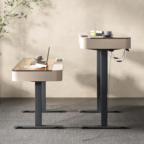 Neoro Height Adjustable Electric Standing Desk with Drawer & USB Charging Port