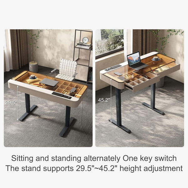 Neoro Height Adjustable Electric Standing Desk with Drawer & USB Charging Port