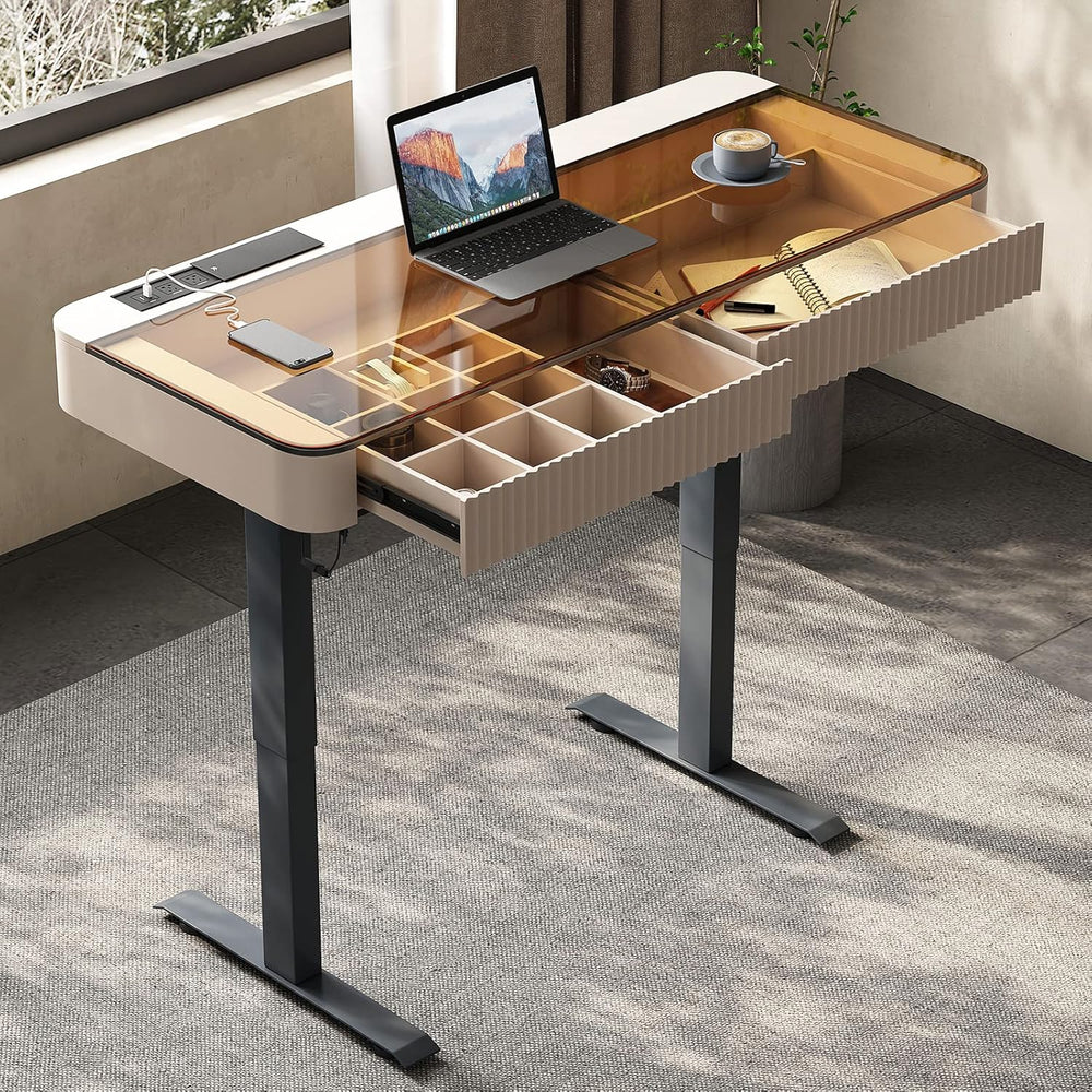 Neoro Height Adjustable Electric Standing Desk with Drawer & USB Charging Port