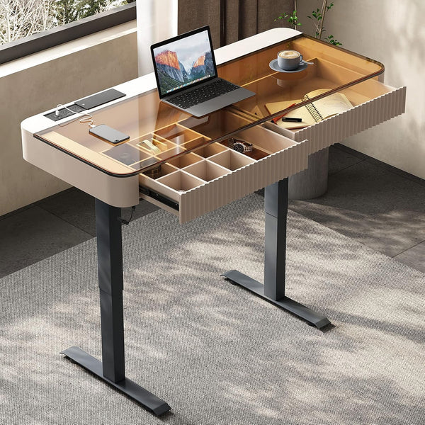 Neoro Height Adjustable Electric Standing Desk with Drawer & USB Charging Port
