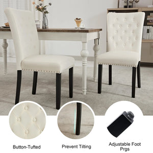 Amdan Tufted Velvet Modern Dining Chair (Set of 2)  Wooden Bazar