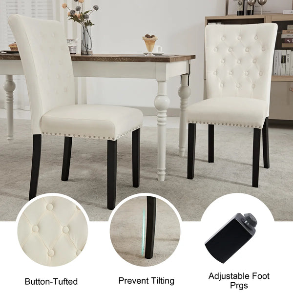 Amdan Tufted Velvet Modern Dining Chair (Set of 2)  Wooden Bazar