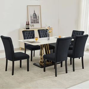 Amdan Tufted Velvet Modern Dining Chair (Set of 2)  Wooden Bazar
