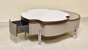 Modern Storage Coffee Table with Marble-Finish Top & Wooden Accents