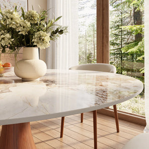 Brijberg Round Solid Wood Dining Stylish 7 Pcs Set With Sintered Stone Table