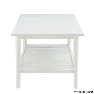 Brockly 47” Wood And Veneers Coffee Center Table With Decorative Shelf
