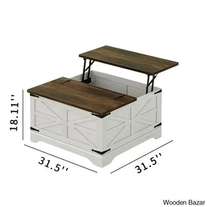 Dahlquisto Farmhouse Square Storage Coffee And Center Table With Hinged Lift Top