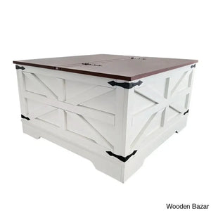 Dahlquisto Farmhouse Square Storage Coffee And Center Table With Hinged Lift Top