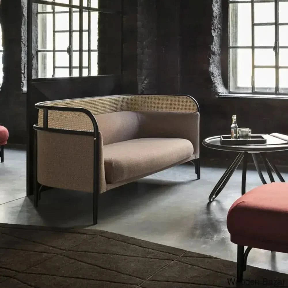 Dannifer Solid Wood Two-Seater Sofa With Empowered Living With Elegant Design Pink Remix / 3 Seater