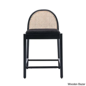 Emingtony Swivel Modern Counter And Bar Stools Height With Rattan Backrests Wood Frame (Set Of 2)