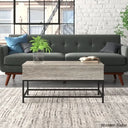Lurdesy Lift Top Coffee And Center Table With Storage & Metal Legs Gray