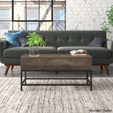 Lurdesy Lift Top Coffee And Center Table With Storage & Metal Legs Taupe