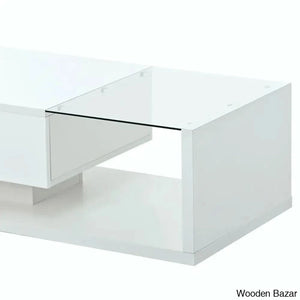 Rondellea Coffee And Center Table With Storage Modern Tempered Glass