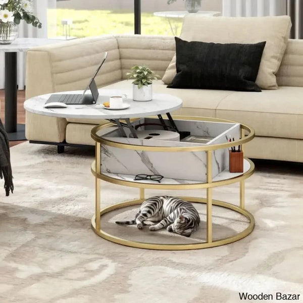 Rothwell Lift Top Extendable Round Frame Coffee Table With Storage And Center